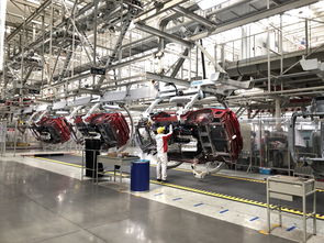 从“小鲜肉”到忠实车主 汽车之家深耕青少年计划，打造未来优选生活